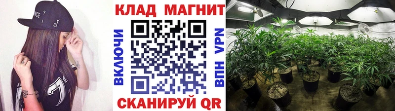 Купить наркотики сайты Володарск АМФЕТАМИН Меф мяу мяу Каннабис