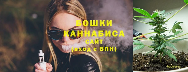 PSILOCYBIN Белокуриха