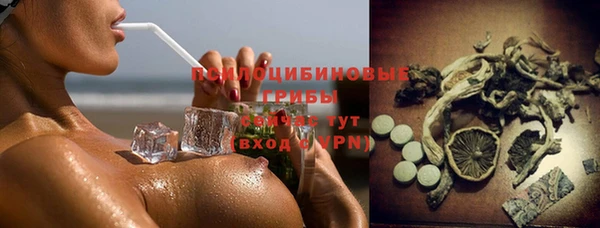 PSILOCYBIN Белокуриха