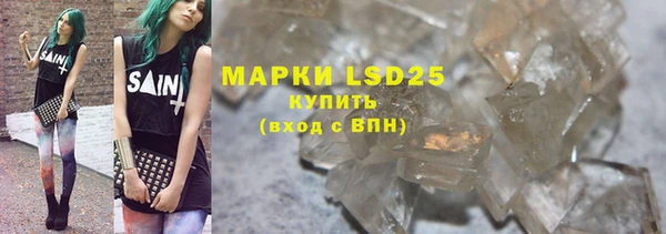 PSILOCYBIN Белокуриха