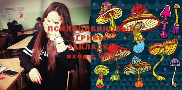 молекула духа Белоозёрский