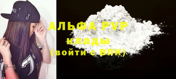 PSILOCYBIN Белокуриха