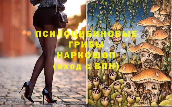 PSILOCYBIN Белокуриха