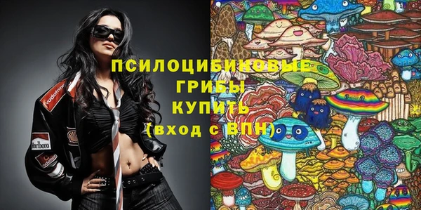 молекула духа Белоозёрский
