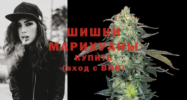 PSILOCYBIN Белокуриха
