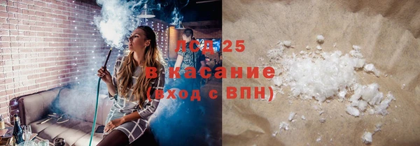 PSILOCYBIN Белокуриха