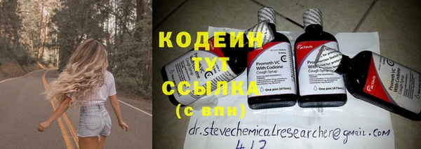 PSILOCYBIN Белокуриха