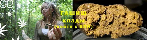 PSILOCYBIN Белокуриха