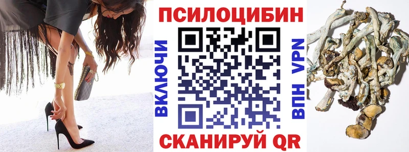 Галлюциногенные грибы Cubensis  где купить наркотик  Володарск 